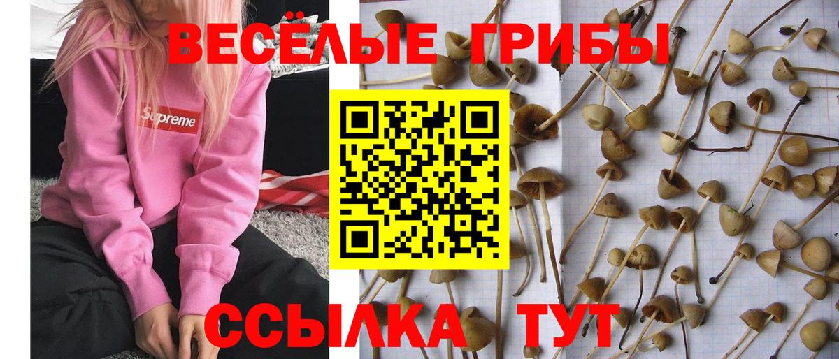 Галлюциногенные грибы ЛСД Татарск